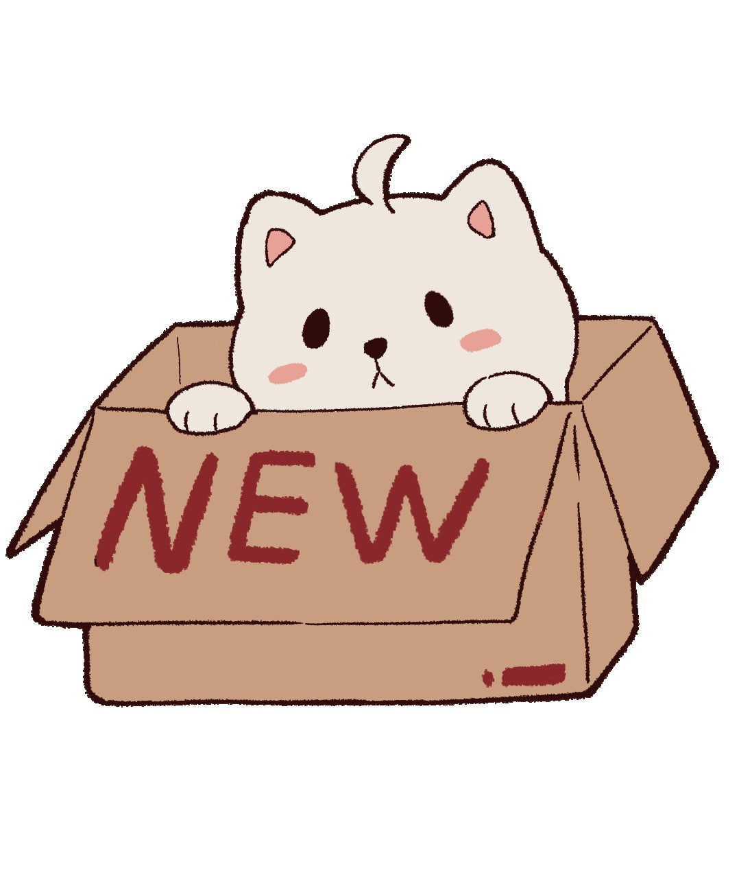New Arrivals – POPDROP