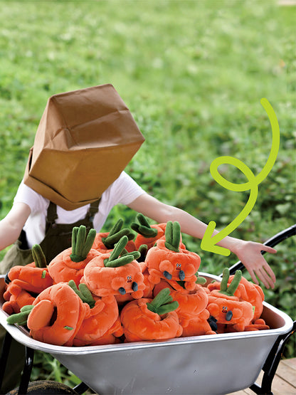 LOGLOGA Carrot small （storage box） Plush