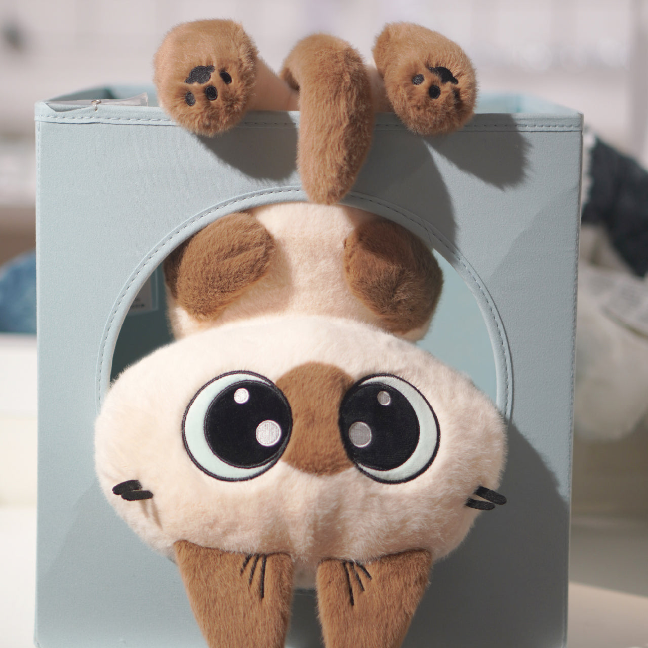 Azukisan Siamese Cat - 35cm Plush Doll Series Hugging Dou